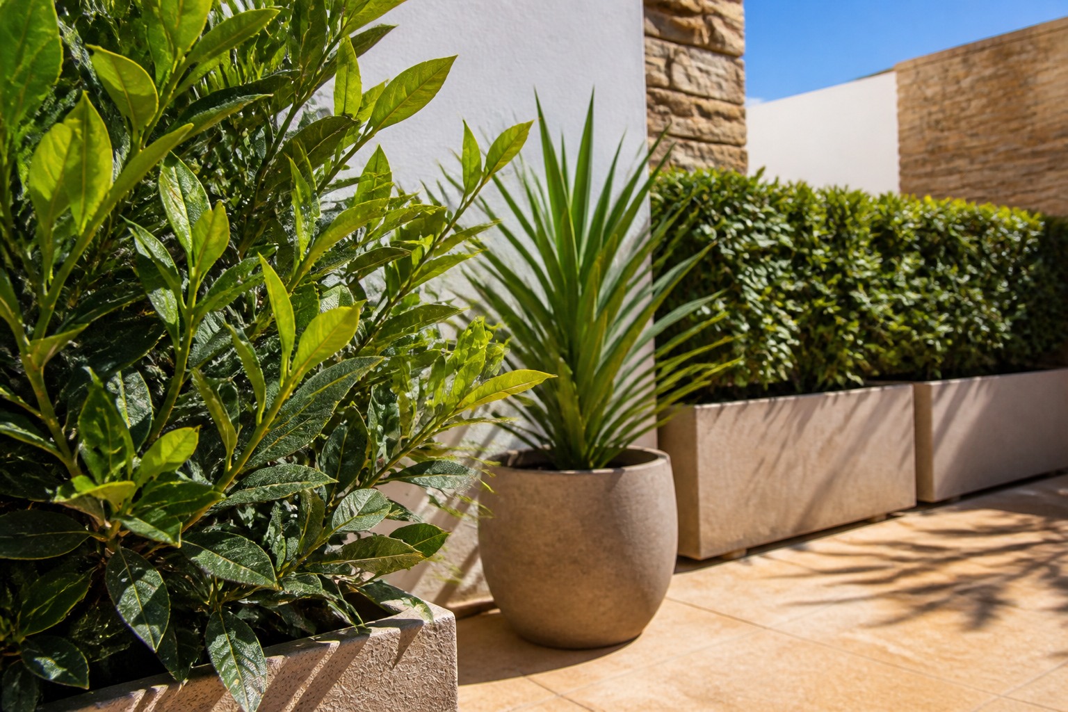 Plantes artificielles extérieures exposées au soleil sur une terrasse en pierre claire