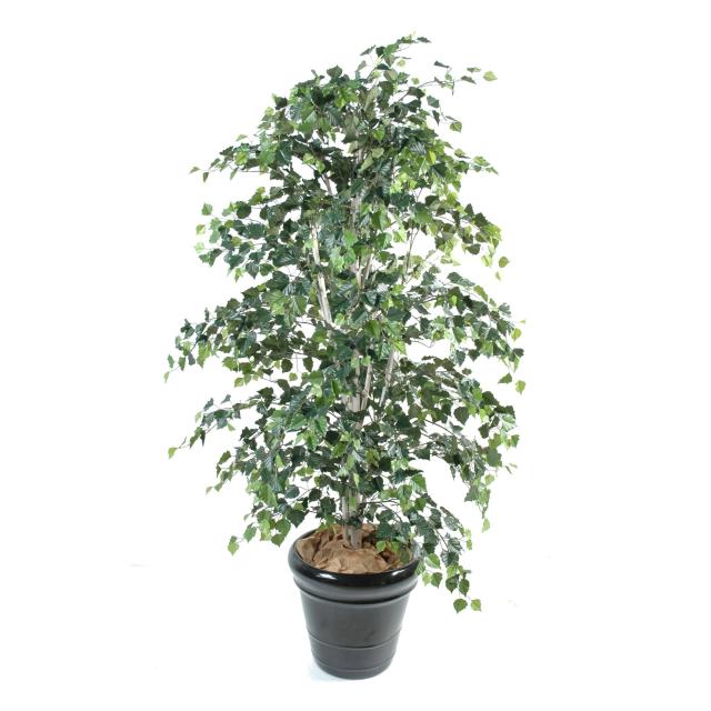 Bouleau Artificiel Vert en Pot 180 cm et 210 cm de Hauteur