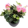 Geranium artificiel 25 cm