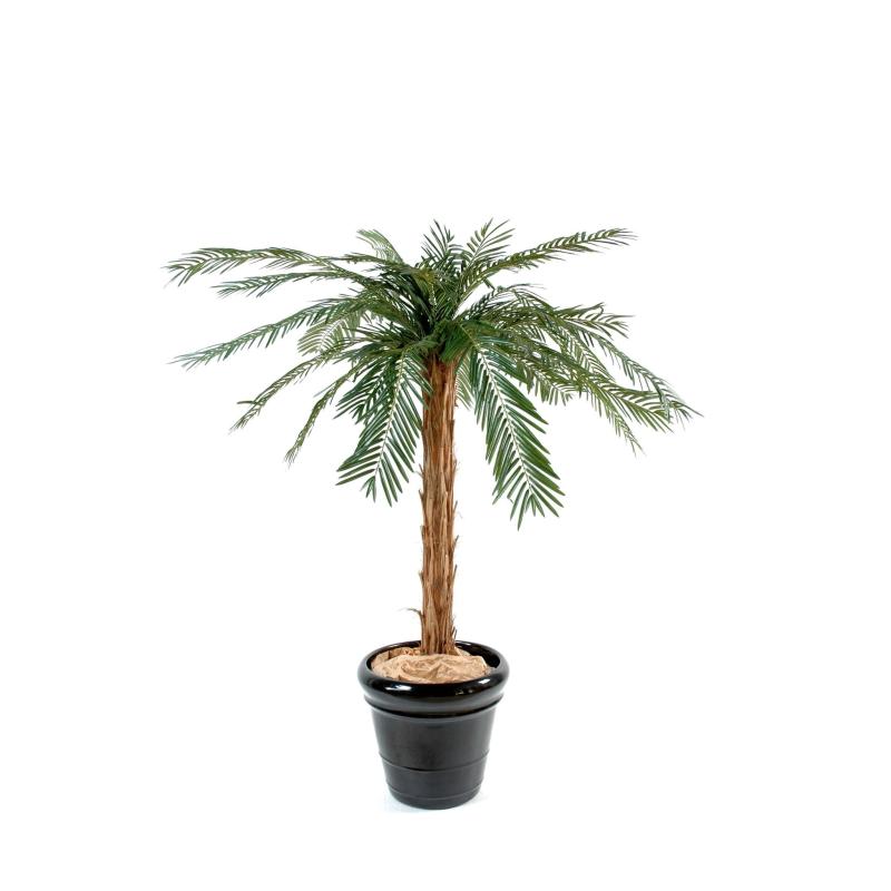 Cycas artificiel palm