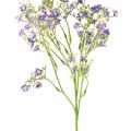 Myosotis Artificielle Mini