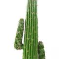 Cactus artificiel Mexico