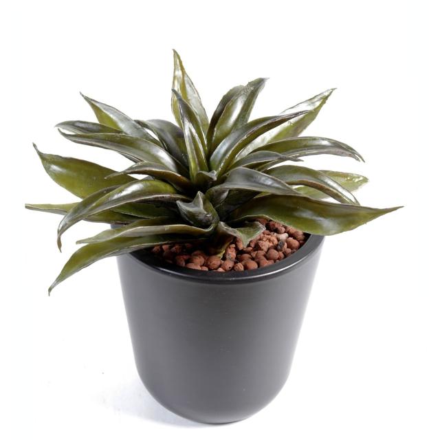 Agave Artificielle de 8 cm
