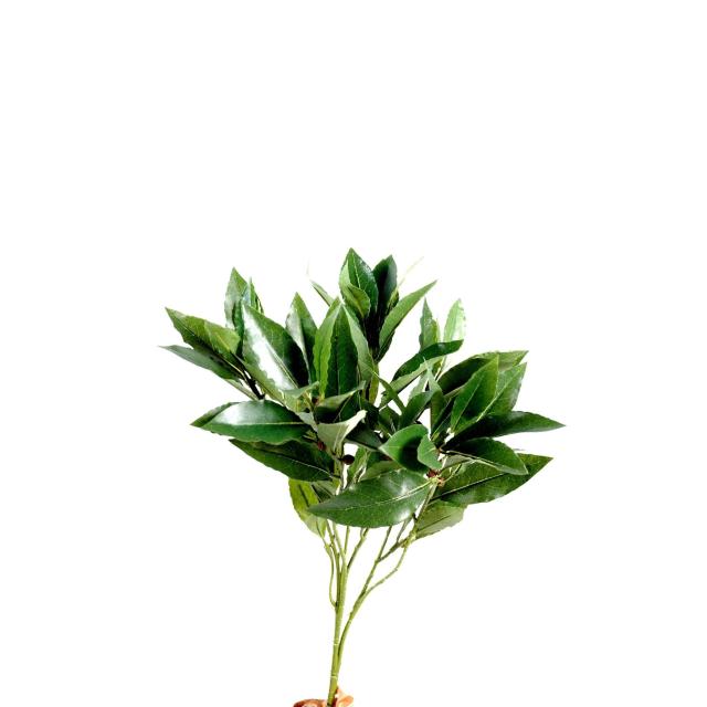 Tige de Laurier Artificiel en Tergal Vert de 25 cm