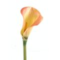 Calla artificielle Lily