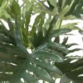 Philodendron Artificiel Selloum *15