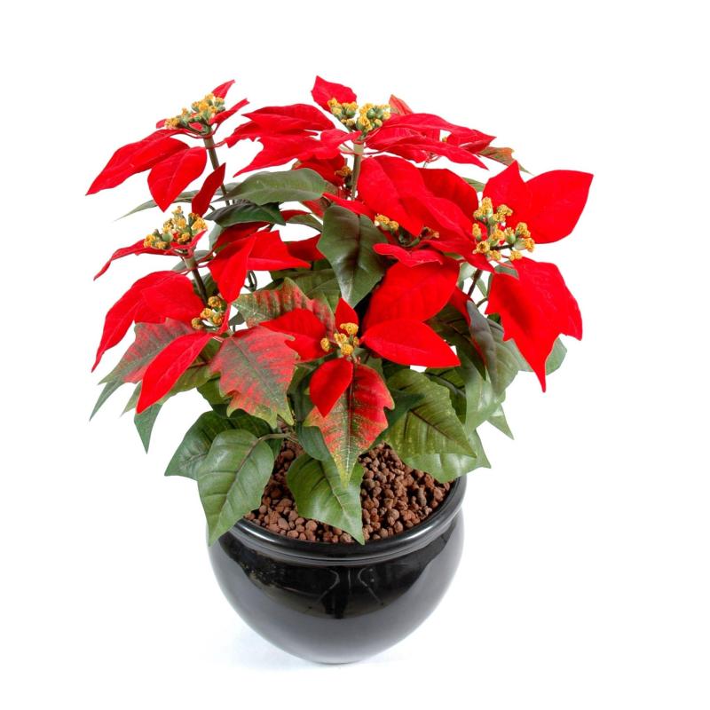 Poinsetia artificiel rouge, rose, crème