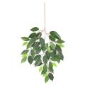 Ficus artificiel Fat Spray *48