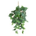 Pothos Artificiel
