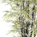 Bambou artificiel black shiroshima large