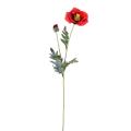Pavot Artificiel 72