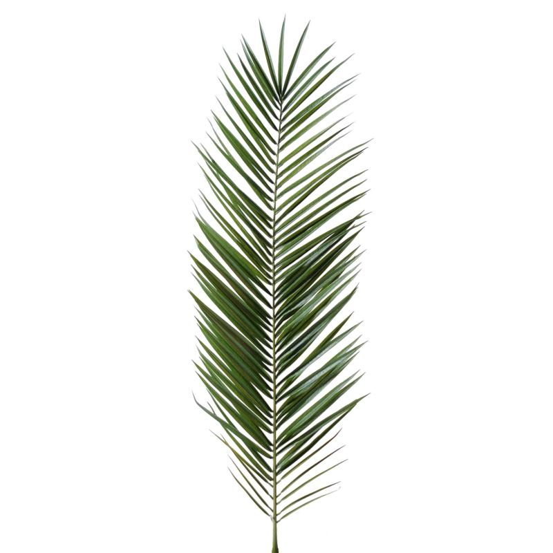 Palme artificielle Phoenix Canariensis