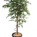 Ficus artificiel tronc simple grandes feuilles