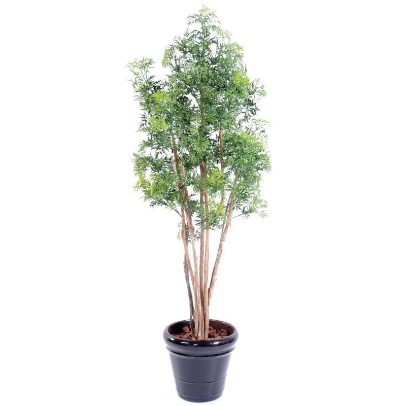 Aralia artificiel Ming Nitida 10 troncs