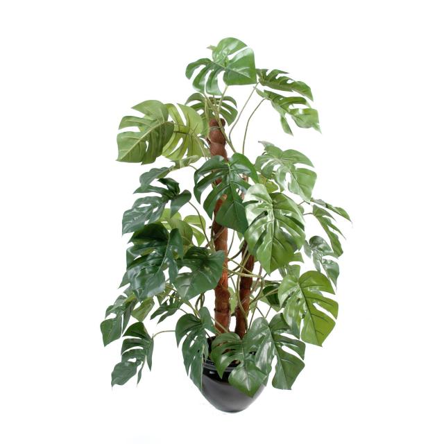 Philodendron Tuteur Coco Artificiel 100 cm