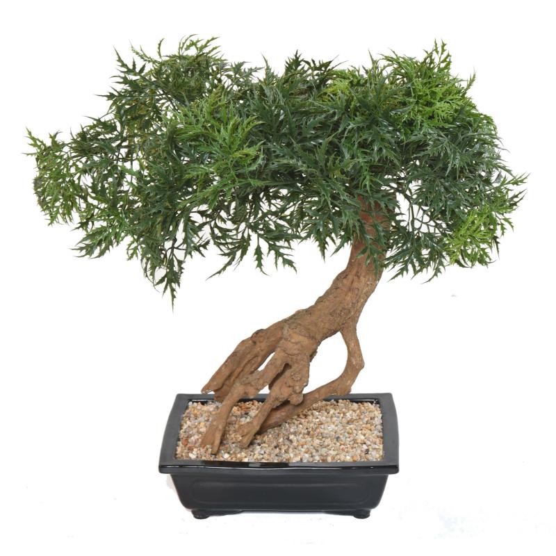 Bonsai Artificiel Aralia en Coupe