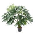 Philodendron Artificiel Selloum