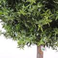Eucalyptus artificiel Plast Tige