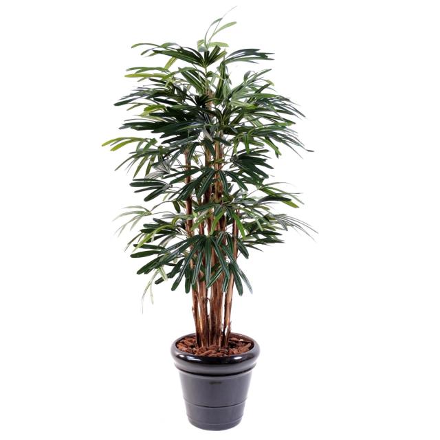 Palmier Raphis Lady Palm Artificiel 7 Troncs en Bois