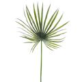 Camerus artificiel Palm Plast