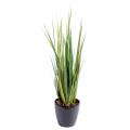 Onion artificiel Grass Large