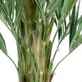 Kentia Artificiel Royal