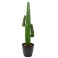 Cactus artificiel Mexico