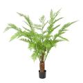 Dicksonia Artificielle (fougere)