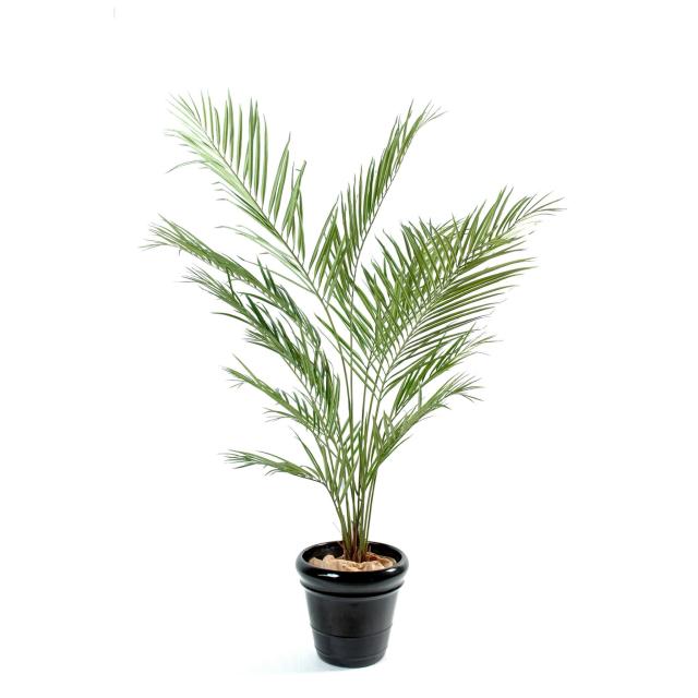 Kentia Artificiel NEW Palm 150 cm de Hauteur