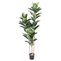 Rubber Plant Artificiel , Ficus Elastica