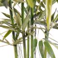 Bambou artificiel new green