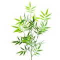 Bambou Artificiel Japanese PLAST SPRAY UV