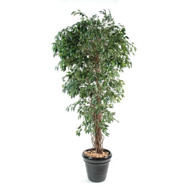 Ficus Lianes Petites Feuilles Artificiel