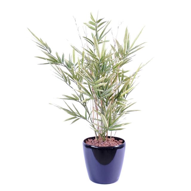 Bambou Shiroshima Artificiel en Cannes de Bambous Naturelles