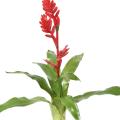 Bromelia 55 Artificiel