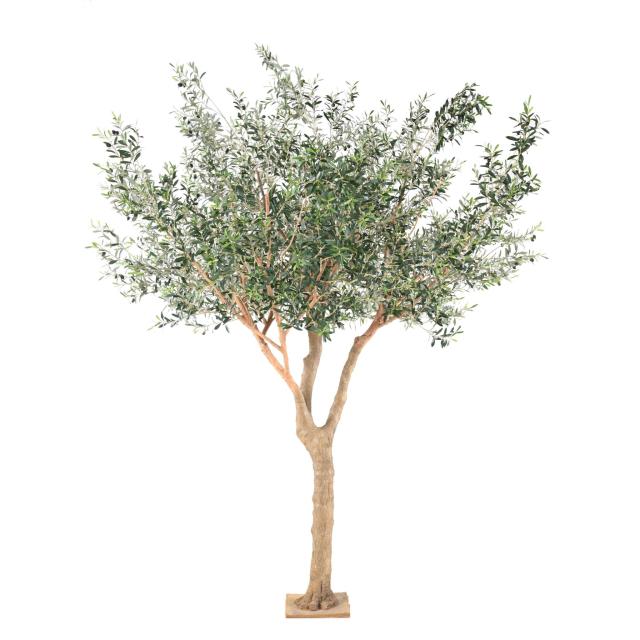 Olivier Arbre L Artificiel