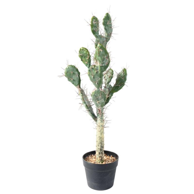 CACTUS Artificiel
