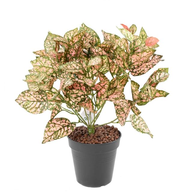 Coleus R *11 Artificiel