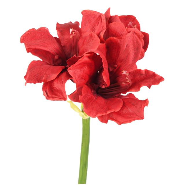 Amaryllis Artificielle 2fl 1bt