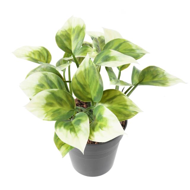 Philo Artificiel Bush