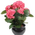 Hortensia artificiel Plant 5T