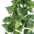 Pothos artificiel