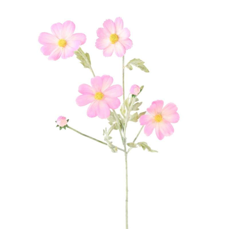 Cosmos 62