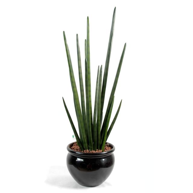 Sanseveria Cylindrica Artificiel 90 cm de Hauteur Plastique Vert Foncé