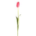 Tulipe artificielle
