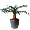 Cycas artificiel palm