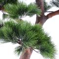 Pin artificiel bonsai uv résistant