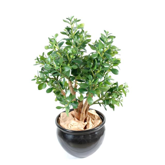 Crassula Large Artificiel de 65 cm de Haut en Pot en Pvc