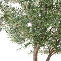 OLIVIER Artificiel GEANT TETE 2T 350