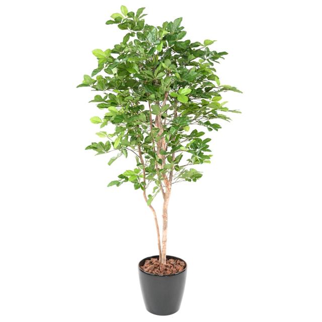 Hetre Artificiel Grandifolia 160